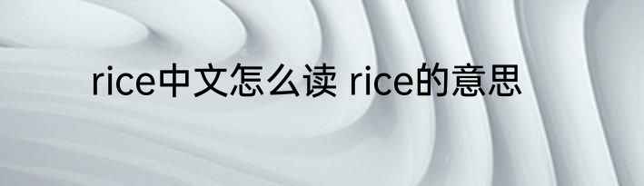 rice中文怎么读 rice的意思