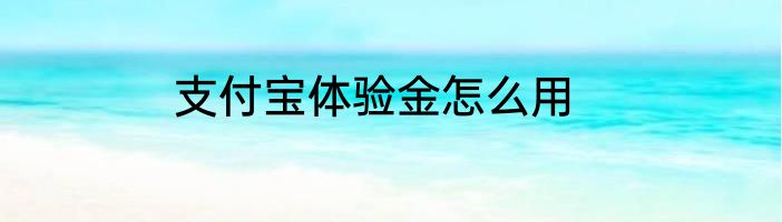 支付宝体验金怎么用