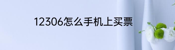 12306怎么手机上买票