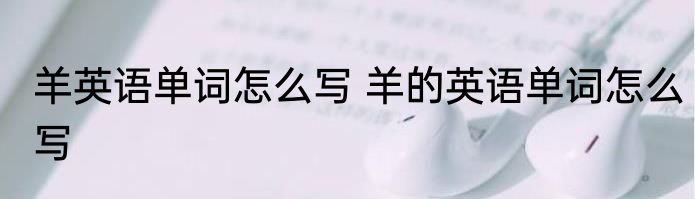 羊英语单词怎么写 羊的英语单词怎么写