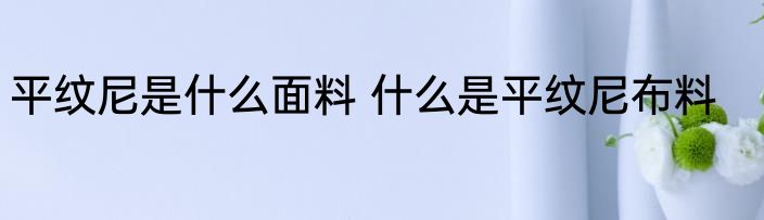 平纹尼是什么面料 什么是平纹尼布料