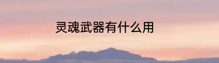 灵魂武器有什么用