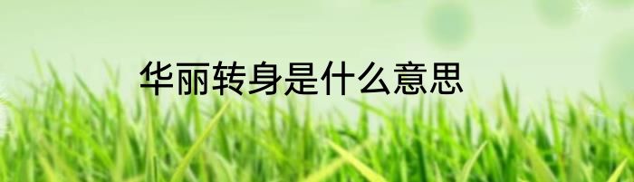 华丽转身是什么意思