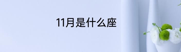 11月是什么座