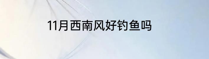11月西南风好钓鱼吗