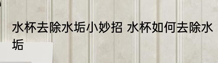 水杯去除水垢小妙招 水杯如何去除水垢