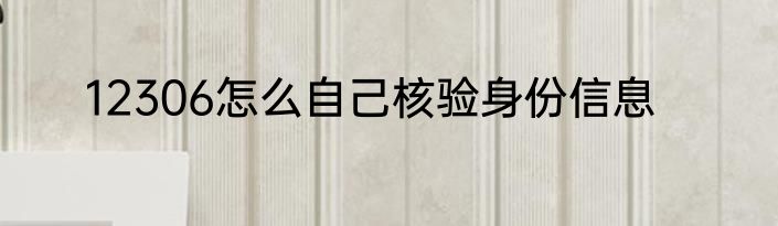 12306怎么自己核验身份信息