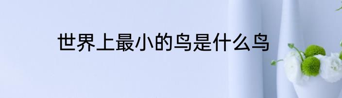 世界上最小的鸟是什么鸟