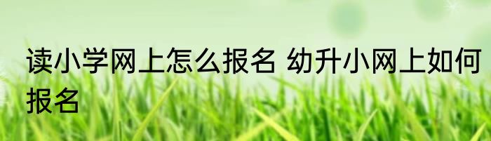 读小学网上怎么报名 幼升小网上如何报名