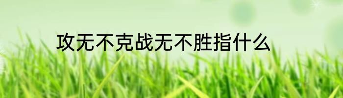 攻无不克战无不胜指什么