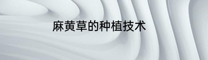 麻黄草的种植技术