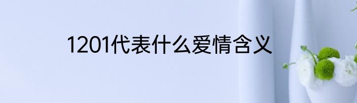 1201代表什么爱情含义
