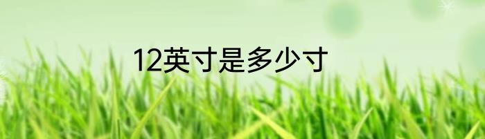 12英寸是多少寸