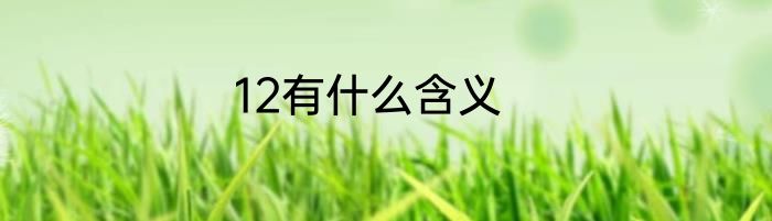 12有什么含义