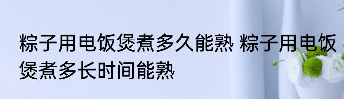 粽子用电饭煲煮多久能熟 粽子用电饭煲煮多长时间能熟