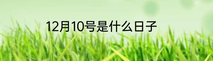 12月10号是什么日子