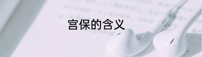 宫保的含义