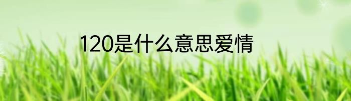 120是什么意思爱情