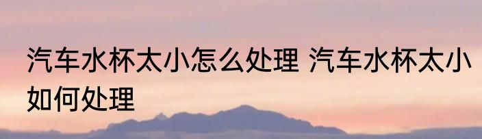 汽车水杯太小怎么处理 汽车水杯太小如何处理