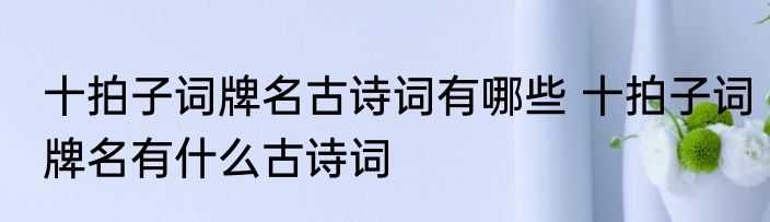 十拍子词牌名古诗词有哪些 十拍子词牌名有什么古诗词