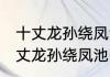 十丈龙孙绕凤池的意思及全诗出处 十丈龙孙绕凤池的意思及全诗出处介绍