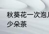 秋葵花一次泡几朵茶 秋葵花一次泡多少朵茶
