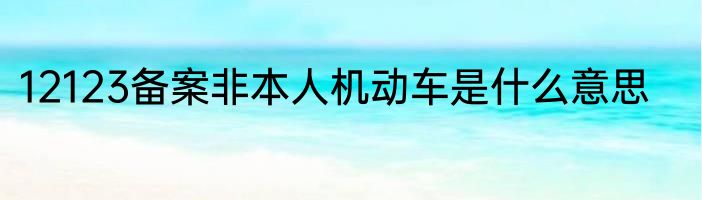 12123备案非本人机动车是什么意思