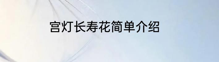 宫灯长寿花简单介绍