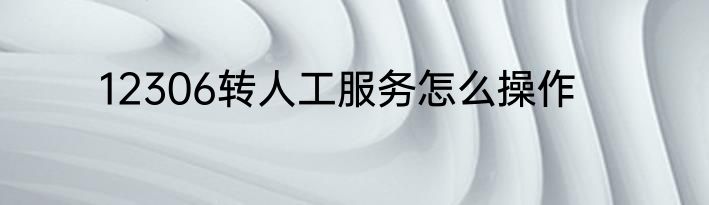 12306转人工服务怎么操作