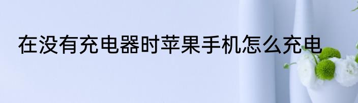 在没有充电器时苹果手机怎么充电