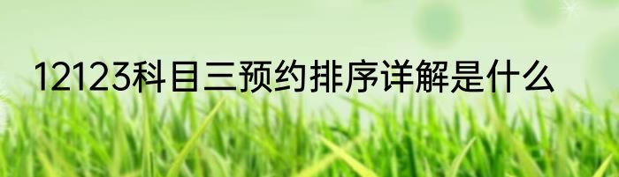 12123科目三预约排序详解是什么