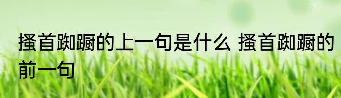 搔首踟蹰的上一句是什么 搔首踟蹰的前一句