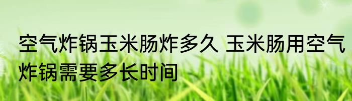 空气炸锅玉米肠炸多久 玉米肠用空气炸锅需要多长时间