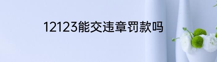 12123能交违章罚款吗