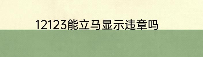 12123能立马显示违章吗