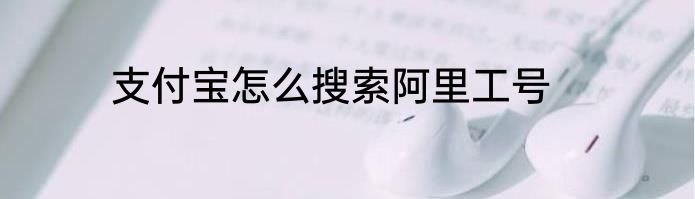 支付宝怎么搜索阿里工号