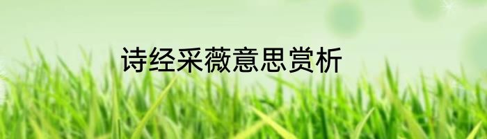 诗经采薇意思赏析