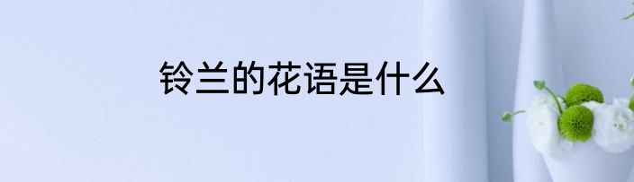铃兰的花语是什么