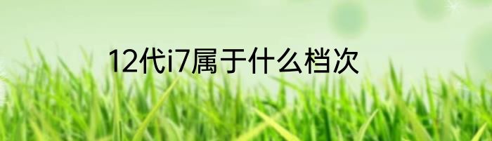 12代i7属于什么档次