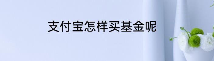 支付宝怎样买基金呢