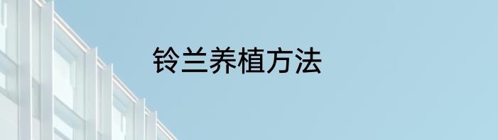 铃兰养植方法