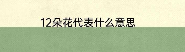 12朵花代表什么意思