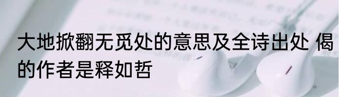 大地掀翻无觅处的意思及全诗出处 偈的作者是释如哲