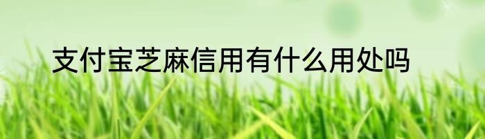 支付宝芝麻信用有什么用处吗