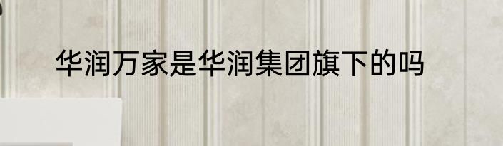 华润万家是华润集团旗下的吗