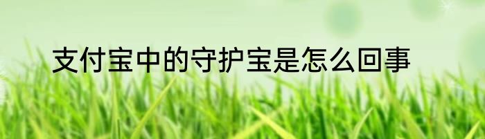 支付宝中的守护宝是怎么回事