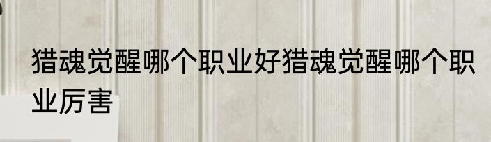 猎魂觉醒哪个职业好猎魂觉醒哪个职业厉害