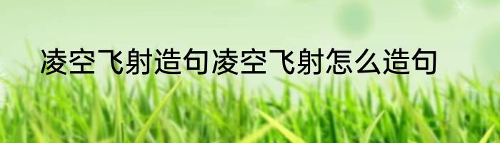 凌空飞射造句凌空飞射怎么造句