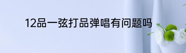 12品一弦打品弹唱有问题吗