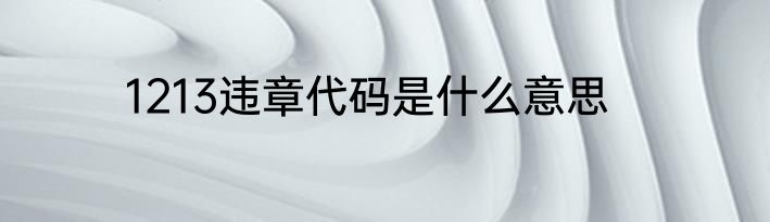 1213违章代码是什么意思